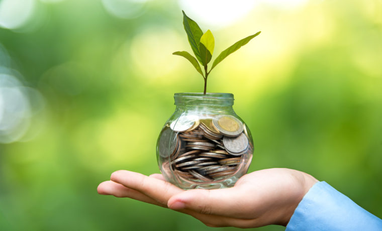 Businessman hand holding  coin money cover growing plant.  Plant growing out of coins with filter effect, money growing and small tree in jar, green nature background.  Investment concept.